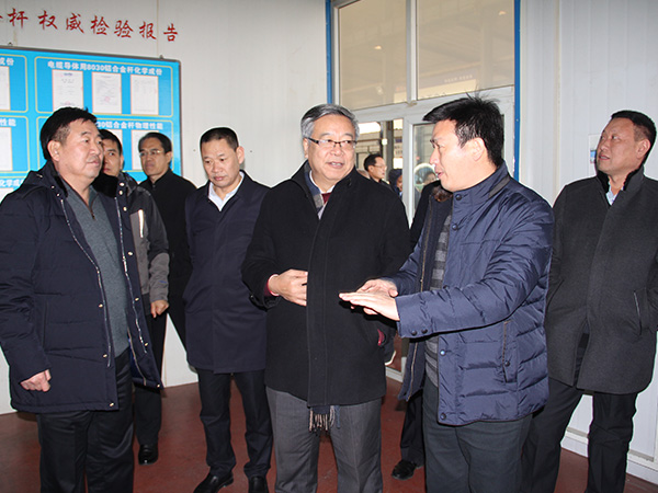 2018年1月11日，，，，，，，，邢台市人大常委会副主任周世伟向导省、市人大代表集中视察第五组到亚美AM8AG线缆集团举行视察