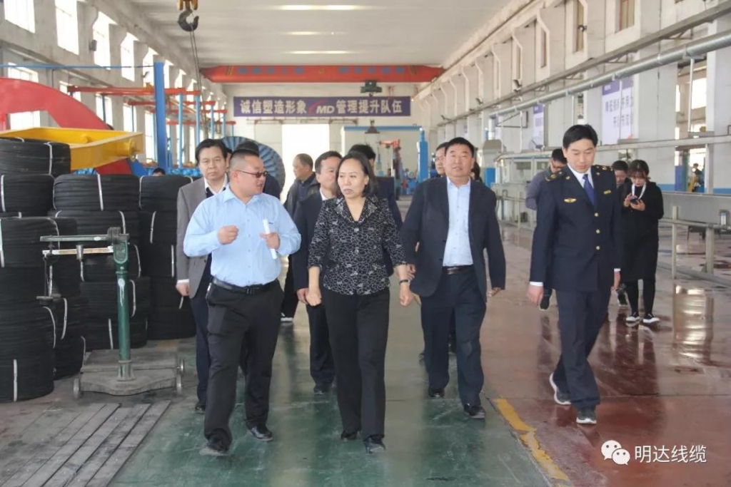 河北省市场羁系局党组书记丁锦霞莅临亚美AM8AG考察调研